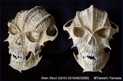 The Strange Skull Found In China Is Unlike Any Human Skull Seen Before - T-News